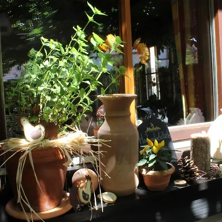 Apartment Herds Eintracht *